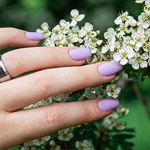 Lily Nail Spa gallery